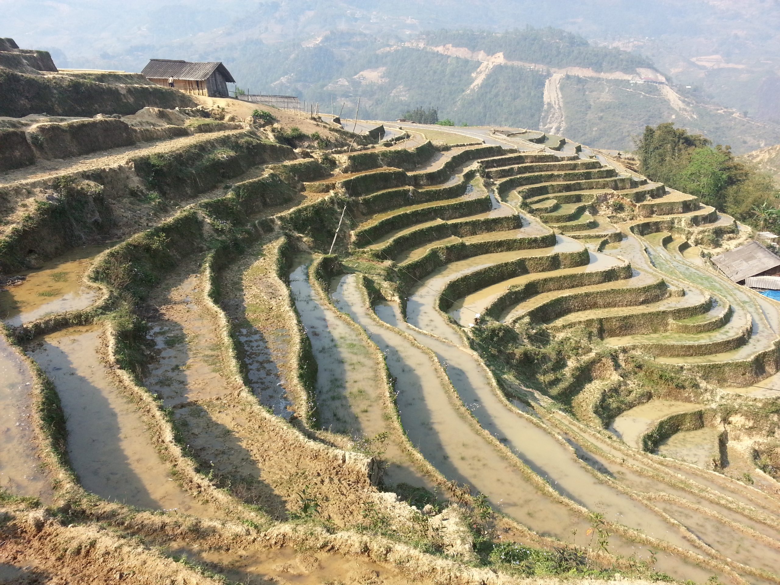 Ultimate Sapa Cycling Tour: Discover Remote Ethnic Villages & Breathtaking Terraced Rice Fields